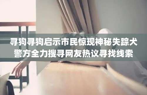 寻狗寻狗启示市民惊现神秘失踪犬警方全力搜寻网友热议寻找线索