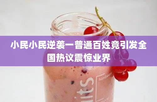 小民小民逆袭一普通百姓竟引发全国热议震惊业界