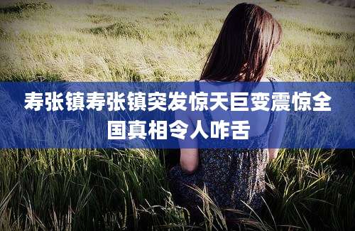 寿张镇寿张镇突发惊天巨变震惊全国真相令人咋舌