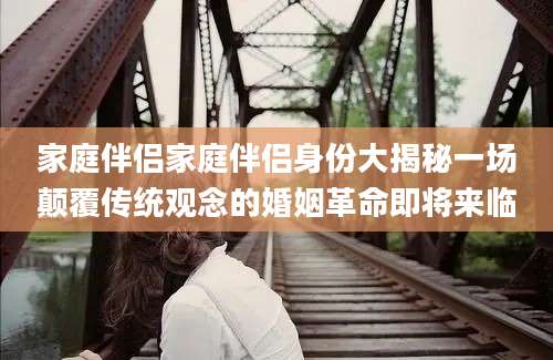 家庭伴侣家庭伴侣身份大揭秘一场颠覆传统观念的婚姻革命即将来临