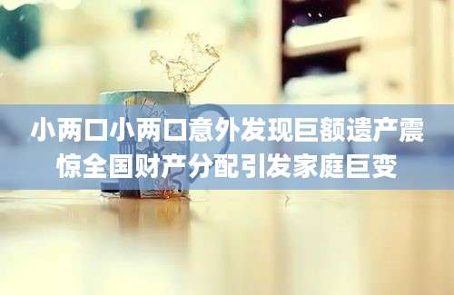小两口小两口意外发现巨额遗产震惊全国财产分配引发家庭巨变