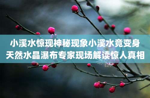 小溪水惊现神秘现象小溪水竟变身天然水晶瀑布专家现场解读惊人真相
