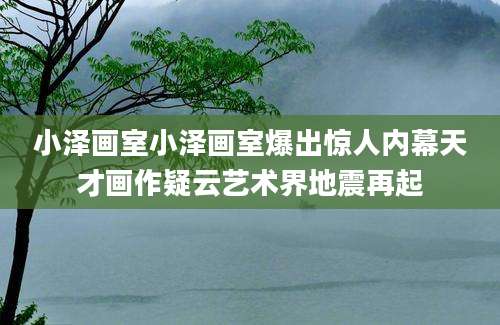 小泽画室小泽画室爆出惊人内幕天才画作疑云艺术界地震再起