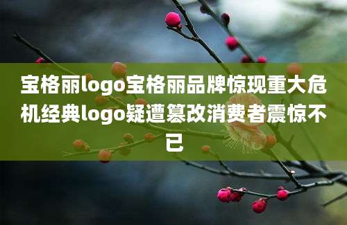 宝格丽logo宝格丽品牌惊现重大危机经典logo疑遭篡改消费者震惊不已
