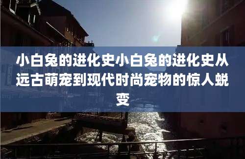 小白兔的进化史小白兔的进化史从远古萌宠到现代时尚宠物的惊人蜕变