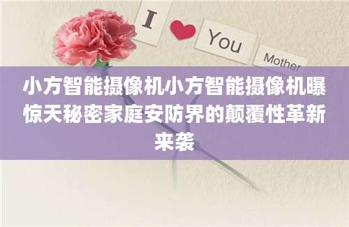 小方智能摄像机小方智能摄像机曝惊天秘密家庭安防界的颠覆性革新来袭