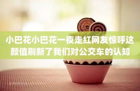 小巴花小巴花一夜走红网友惊呼这颜值刷新了我们对公交车的认知