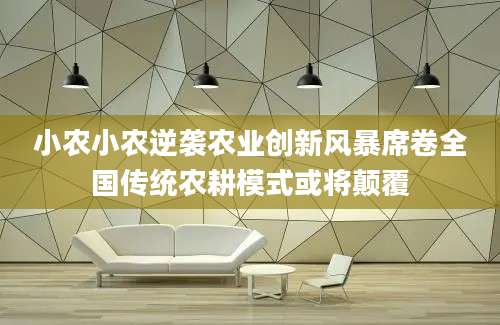 小农小农逆袭农业创新风暴席卷全国传统农耕模式或将颠覆
