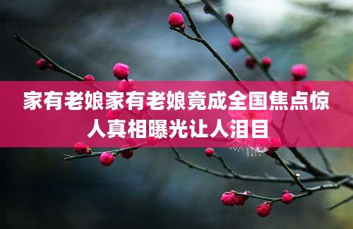 家有老娘家有老娘竟成全国焦点惊人真相曝光让人泪目