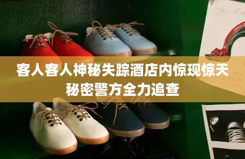 客人客人神秘失踪酒店内惊现惊天秘密警方全力追查