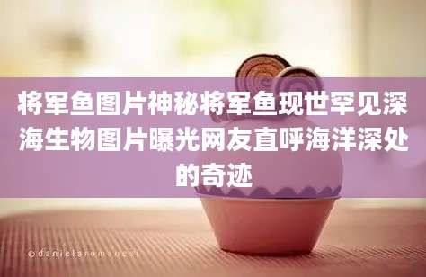 将军鱼图片神秘将军鱼现世罕见深海生物图片曝光网友直呼海洋深处的奇迹
