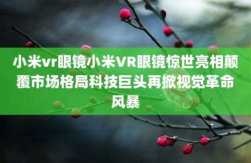 小米vr眼镜小米VR眼镜惊世亮相颠覆市场格局科技巨头再掀视觉革命风暴
