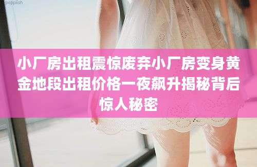 小厂房出租震惊废弃小厂房变身黄金地段出租价格一夜飙升揭秘背后惊人秘密
