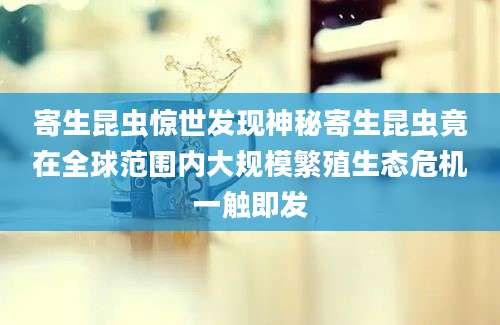 寄生昆虫惊世发现神秘寄生昆虫竟在全球范围内大规模繁殖生态危机一触即发