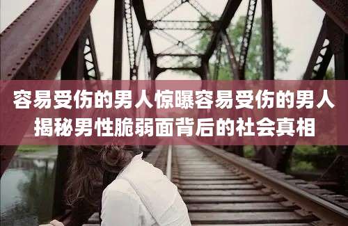 容易受伤的男人惊曝容易受伤的男人揭秘男性脆弱面背后的社会真相
