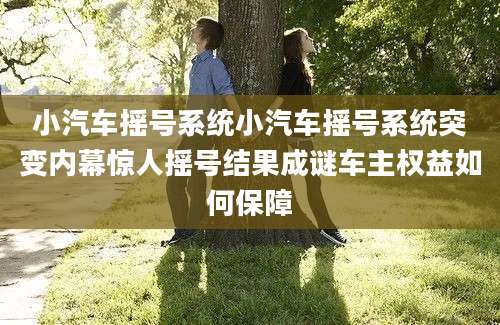 小汽车摇号系统小汽车摇号系统突变内幕惊人摇号结果成谜车主权益如何保障