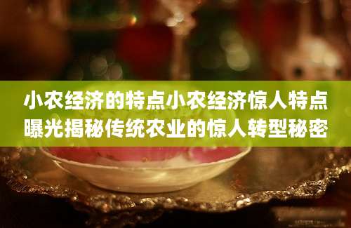 小农经济的特点小农经济惊人特点曝光揭秘传统农业的惊人转型秘密