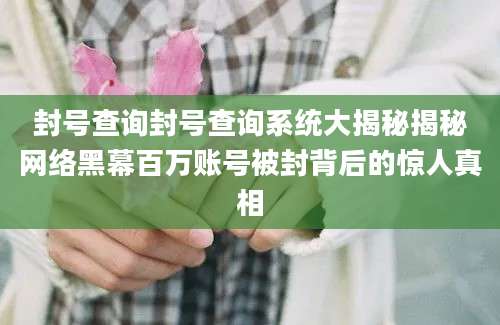 封号查询封号查询系统大揭秘揭秘网络黑幕百万账号被封背后的惊人真相