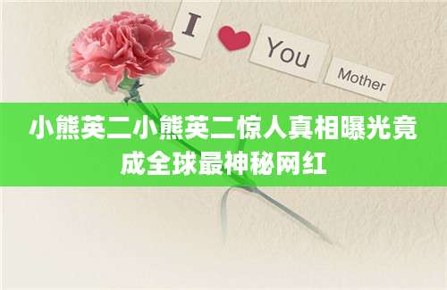 小熊英二小熊英二惊人真相曝光竟成全球最神秘网红