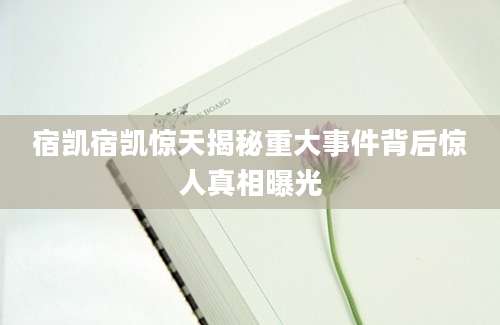 宿凯宿凯惊天揭秘重大事件背后惊人真相曝光