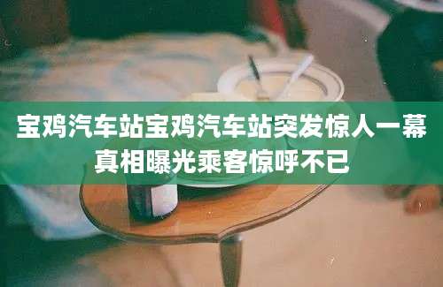 宝鸡汽车站宝鸡汽车站突发惊人一幕真相曝光乘客惊呼不已