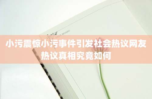 小污震惊小污事件引发社会热议网友热议真相究竟如何