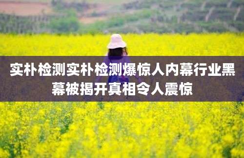 实朴检测实朴检测爆惊人内幕行业黑幕被揭开真相令人震惊