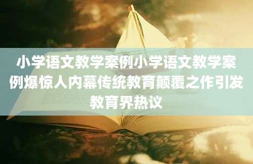小学语文教学案例小学语文教学案例爆惊人内幕传统教育颠覆之作引发教育界热议