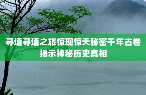 寻道寻道之旅惊现惊天秘密千年古卷揭示神秘历史真相