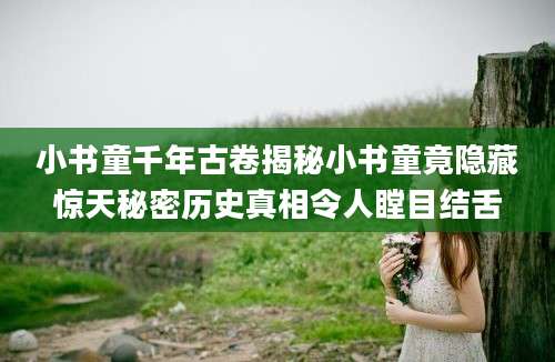 小书童千年古卷揭秘小书童竟隐藏惊天秘密历史真相令人瞠目结舌