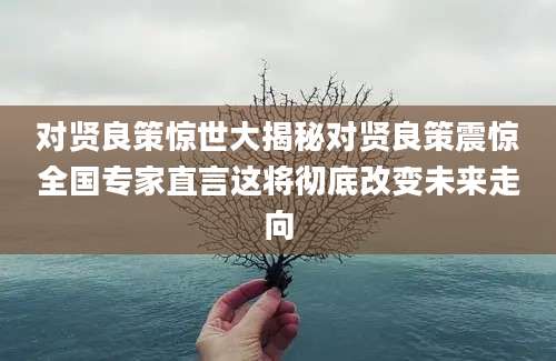 对贤良策惊世大揭秘对贤良策震惊全国专家直言这将彻底改变未来走向