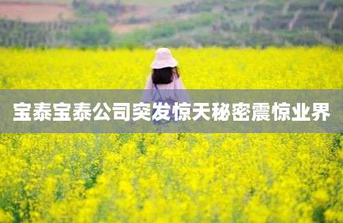 宝泰宝泰公司突发惊天秘密震惊业界