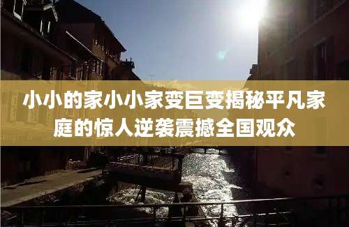 小小的家小小家变巨变揭秘平凡家庭的惊人逆袭震撼全国观众