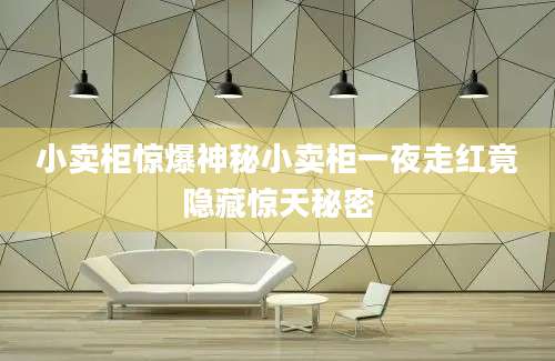 小卖柜惊爆神秘小卖柜一夜走红竟隐藏惊天秘密