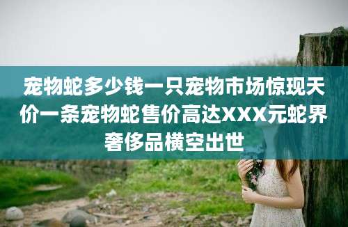 宠物蛇多少钱一只宠物市场惊现天价一条宠物蛇售价高达XXX元蛇界奢侈品横空出世