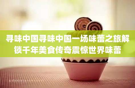 寻味中国寻味中国一场味蕾之旅解锁千年美食传奇震惊世界味蕾