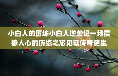 小白人的历练小白人逆袭记一场震撼人心的历练之旅见证传奇诞生