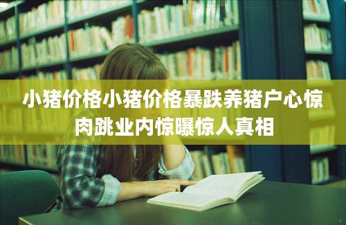 小猪价格小猪价格暴跌养猪户心惊肉跳业内惊曝惊人真相
