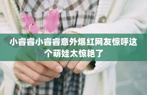 小睿睿小睿睿意外爆红网友惊呼这个萌娃太惊艳了