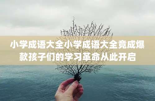 小学成语大全小学成语大全竟成爆款孩子们的学习革命从此开启