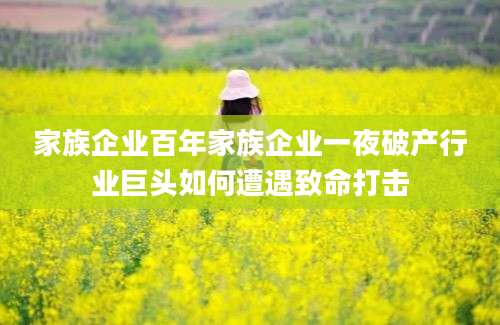 家族企业百年家族企业一夜破产行业巨头如何遭遇致命打击