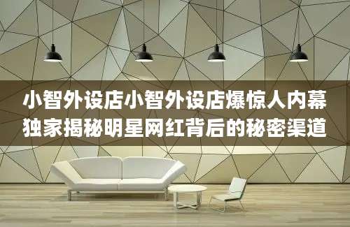 小智外设店小智外设店爆惊人内幕独家揭秘明星网红背后的秘密渠道