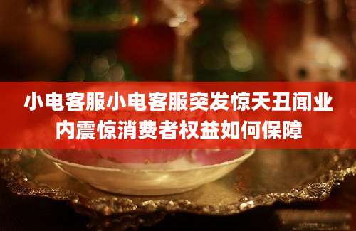 小电客服小电客服突发惊天丑闻业内震惊消费者权益如何保障