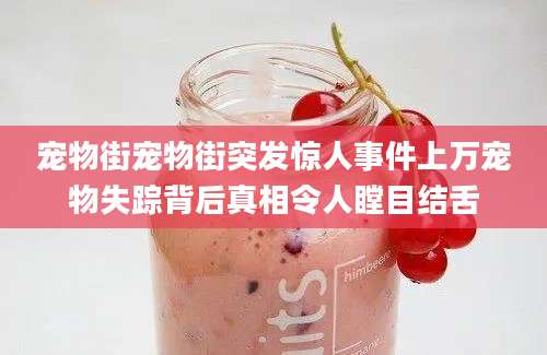 宠物街宠物街突发惊人事件上万宠物失踪背后真相令人瞠目结舌