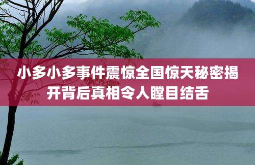 小多小多事件震惊全国惊天秘密揭开背后真相令人瞠目结舌