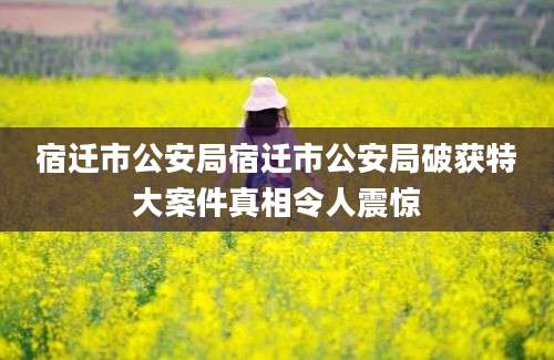 宿迁市公安局宿迁市公安局破获特大案件真相令人震惊