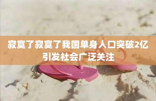 寂寞了寂寞了我国单身人口突破2亿引发社会广泛关注