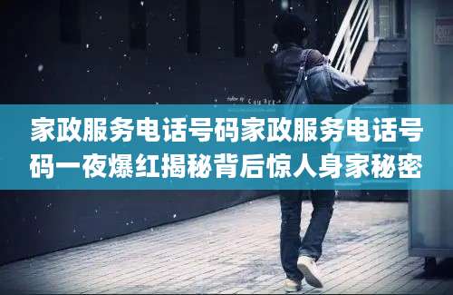 家政服务电话号码家政服务电话号码一夜爆红揭秘背后惊人身家秘密