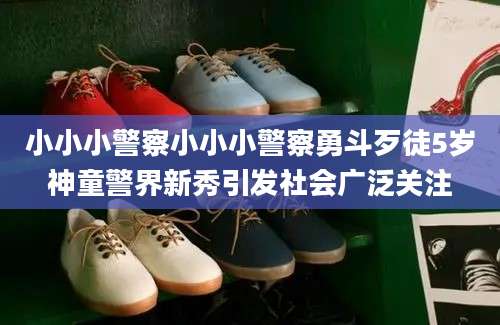 小小小警察小小小警察勇斗歹徒5岁神童警界新秀引发社会广泛关注