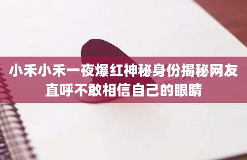 小禾小禾一夜爆红神秘身份揭秘网友直呼不敢相信自己的眼睛